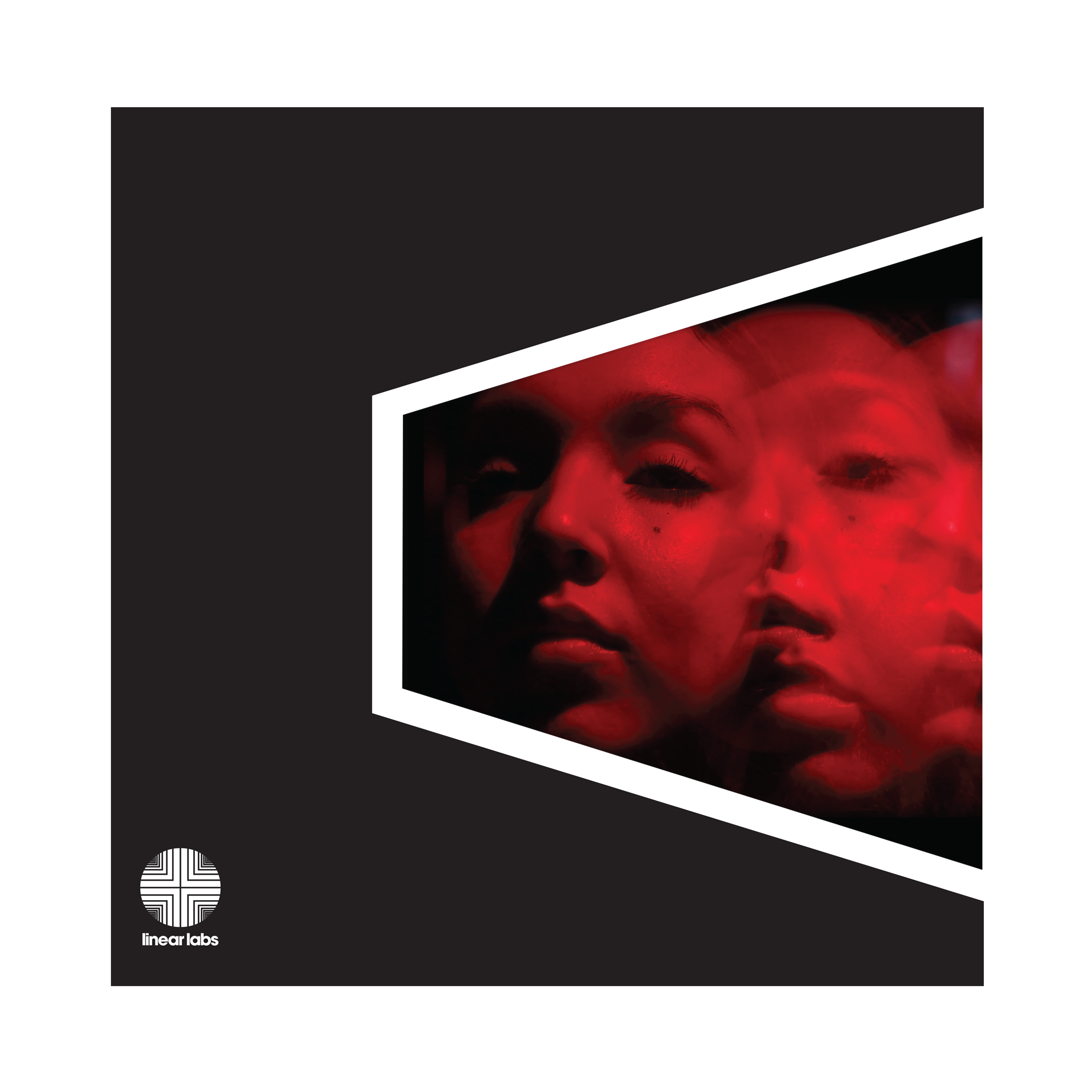 Black Dynamite LP — LINEAR LABS